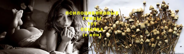 молекула духа Абаза